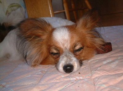 �˂��ӂ肤���